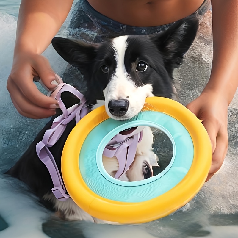 Frisbee Freestyle Disc - Schwimmende Hunde-Frisbee, Interaktives Outdoor-Trainingsspielzeug für Mittelgroße