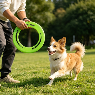 Frisbee Freestyle Disc - 1 Stück langlebige, hohle Ring-Frisbee-Flugscheibe aus