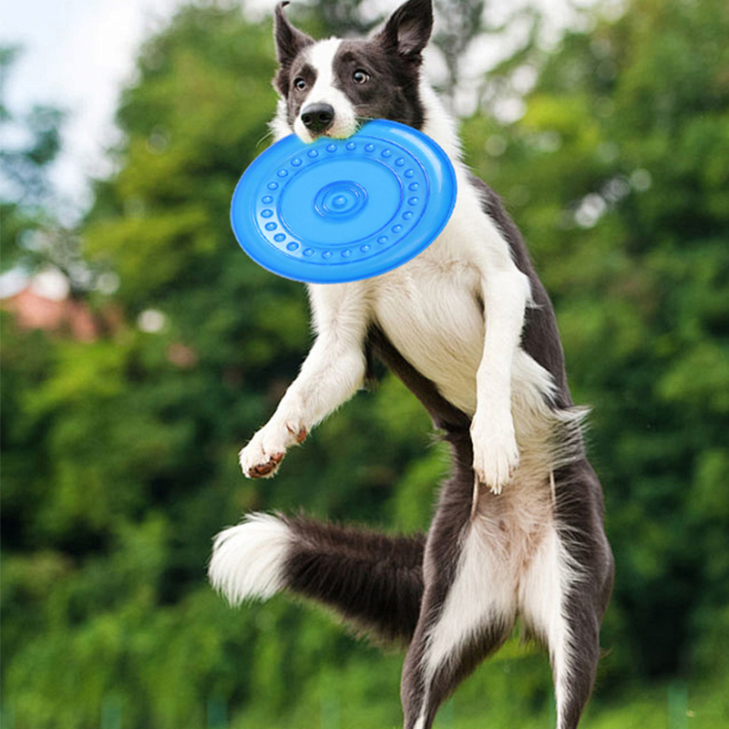 Frisbee Freestyle Disc - Langlebiges, kaubares Haustier-Trainings-Frisbee-Spielzeug, reißfeste, weiche Gummi-Flugscheibe