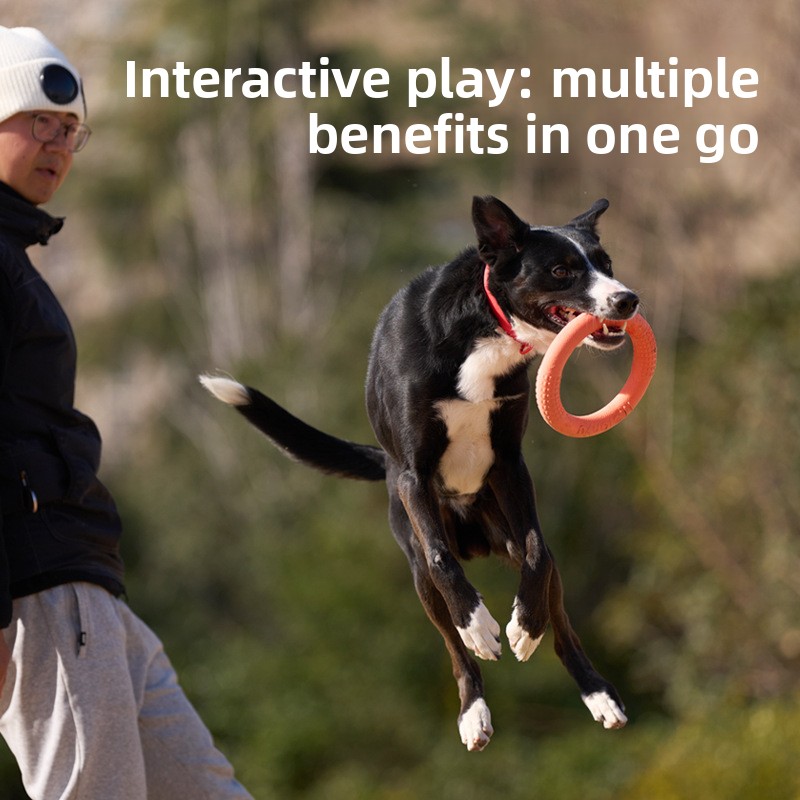 Bissfeste, weiche Frisbee-Hund – Frisbee Freestyle Disc Bewertung und Preis