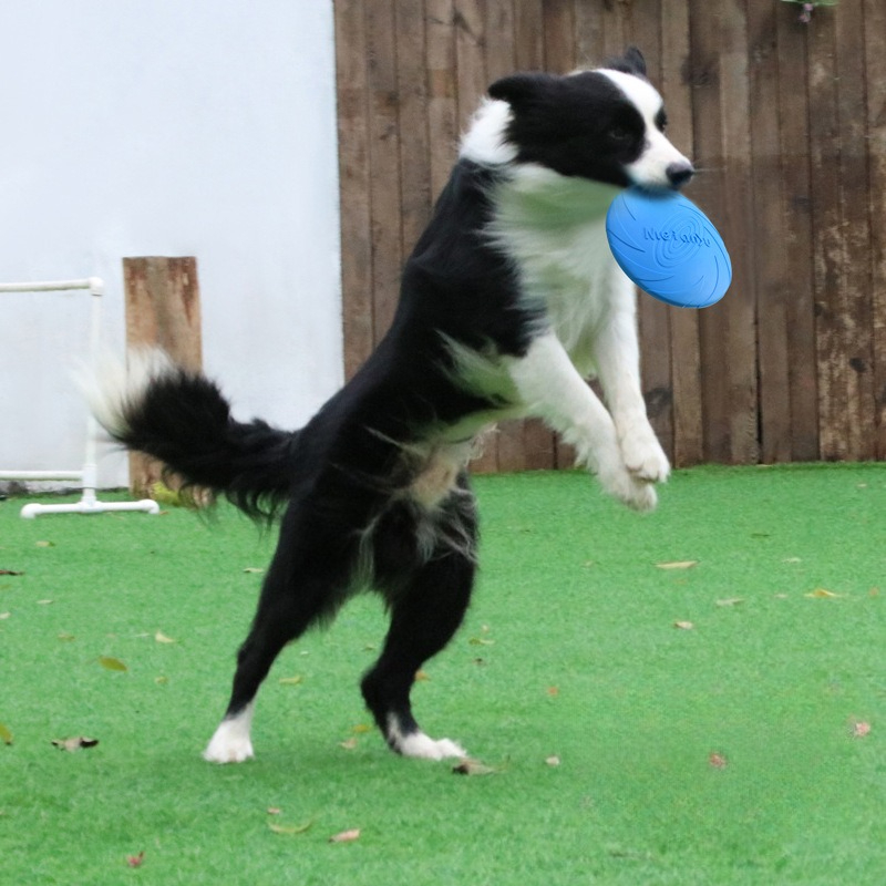 Hunde-Frisbee, spezieller Fris – Frisbee Freestyle Disc Bewertung und Preis