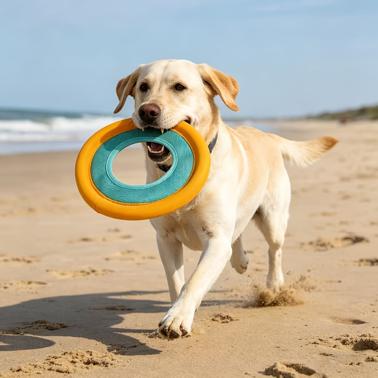 Schwimmende Hunde-Frisbee, Int – Frisbee Freestyle Disc Bewertung und Preis