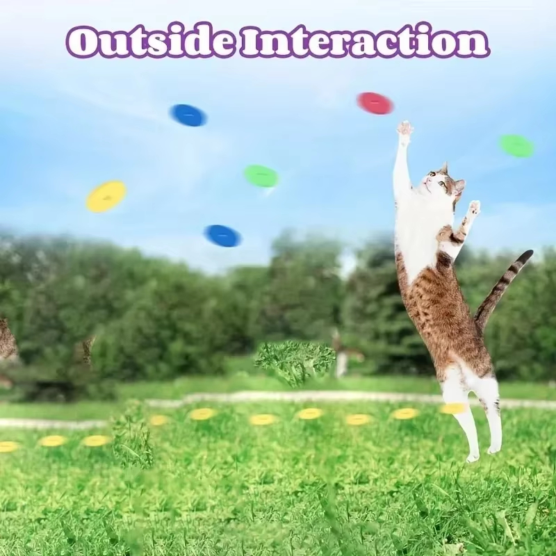 Lustige Katzenspielzeuge Kreat – Frisbee Freestyle Disc Bewertung und Preis
