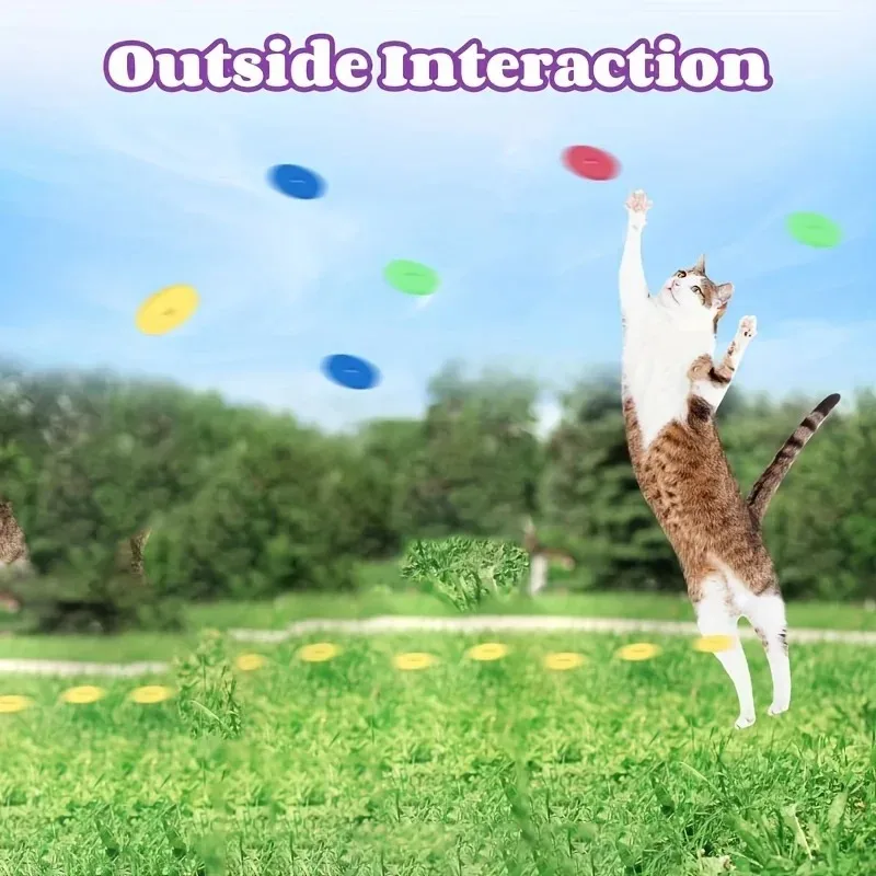 Lustige Katzenspielzeuge Kreat – Frisbee Freestyle Disc Bewertung und Preis