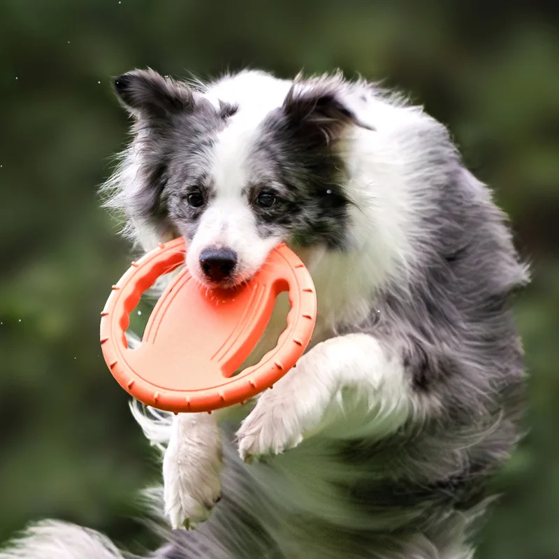 Langlebiges Hunde-Flugscheiben – Frisbee Freestyle Disc Bewertung und Preis
