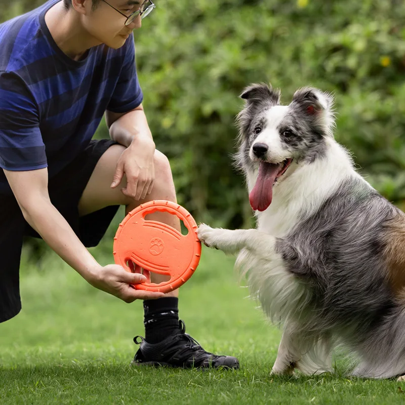 Langlebiges Hunde-Flugscheiben – Frisbee Freestyle Disc Bewertung und Preis