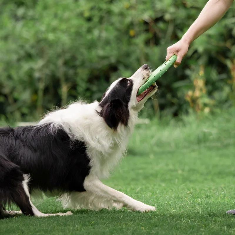 Langlebiges Hunde-Flugscheiben – Frisbee Freestyle Disc Bewertung und Preis